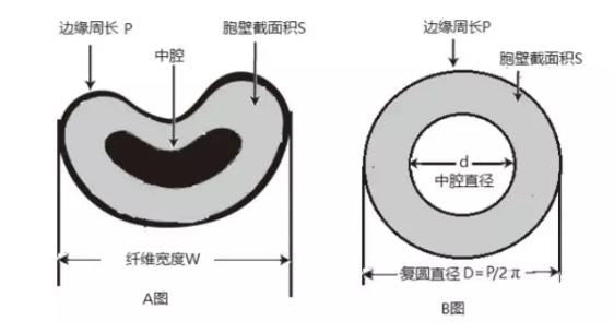 棉纤维细度基准性的测量方法